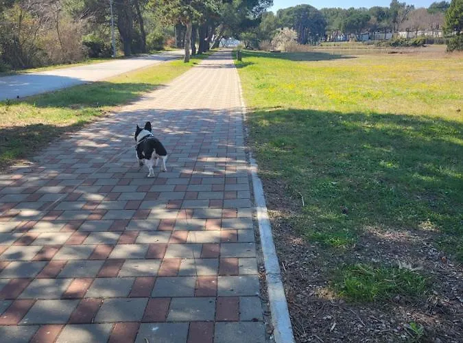 Διαμέρισμα Hukic A2 And A1